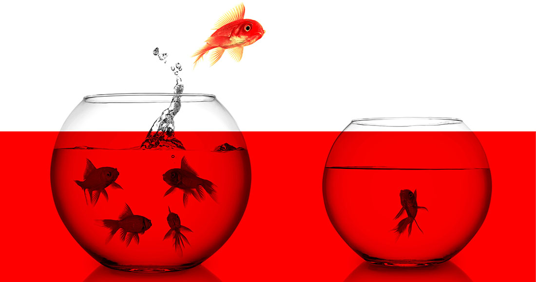 Ein Goldfisch springt aus einem überfüllten Fischglas auf der linken Seite in ein weniger überfülltes Fischglas auf der rechten Seite, beide mit rotem Wasser gefüllt.